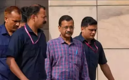 Delhi CM granted bail.