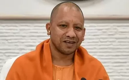 Yogi Adityanath Takes Burrow At Akhilesh Yadav's Uncle.