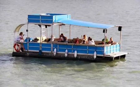 Delhi's Yamuna Stream to Urge Boat Taxis? All You Would Like to Know.