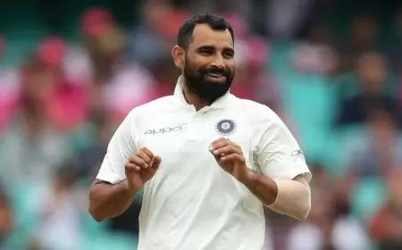 Mohammed Shami's SMAT report card.