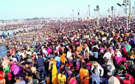 Why was there a greater crowd than normal at Prayagraj?