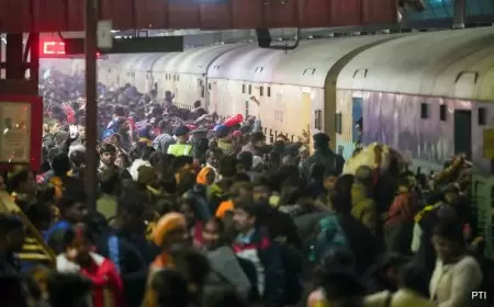2 Hours, 4 Trains, Mega Swarm: What Caused Delhi Rush?