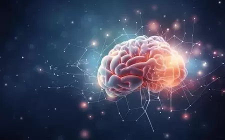 Six common everyday propensities that can debilitate memory?