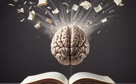 Groundbreaking ponder sheds light on how our brain learns and adjusts.