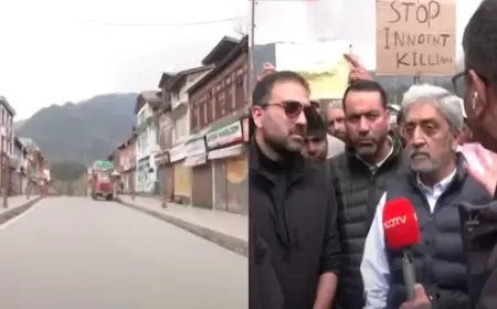 "Head Hangs In Disgrace": Enormous Kashmir Dissents Against Pahalgam Assault