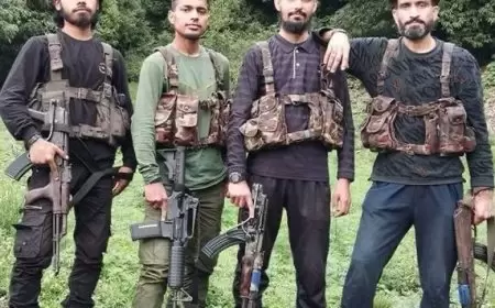 2 Fear-Based Oppressors From Pakistan Among Pahalgam Aggressors; Rs 20 Lakh Compensation Reported