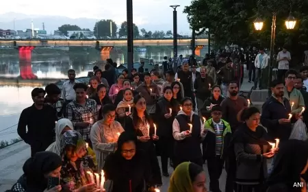 "Circumstance We're Confronting...": A Pahalgam Indicate In Best Court's Pegasus Comments