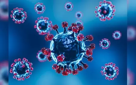 Coronavirus enormous upgrade: Dynamic cases climb to 1828, 15 dead, 4 unused variations found in India, greatest passings in….