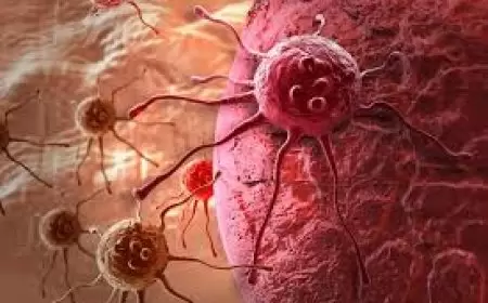Hope for stomach, brain cancer? Cancer-fighting immune therapy works on solid tumours in early trials