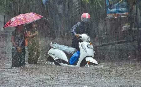 Waterlogging Back to Haunt Gujarat, Surat Streets Flooded by Heavy Rain; Schools Closed