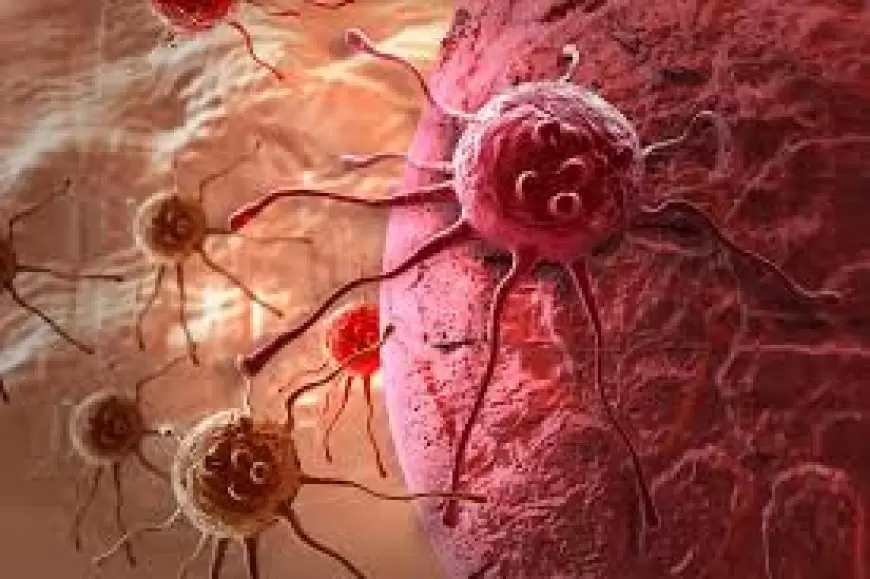 Hope for stomach, brain cancer? Cancer-fighting immune therapy works on solid tumours in early trials