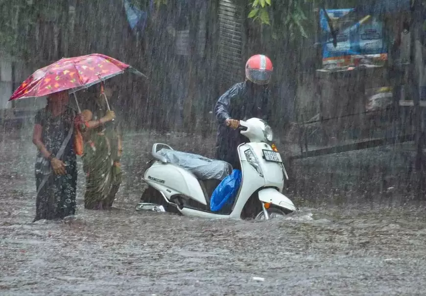 Waterlogging Back to Haunt Gujarat, Surat Streets Flooded by Heavy Rain; Schools Closed